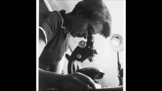 Rosalind Franklin  A Digital Story [upl. by Enilrem]