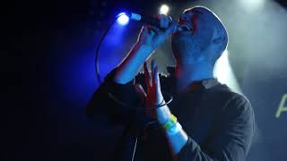 Agent Fresco  There Must Be More Than This Live [upl. by Kier]