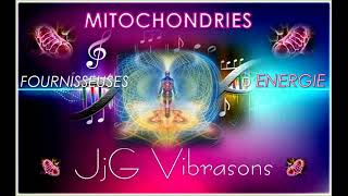 AIDE AUX MITOCHONDRIES Fournisseuses d ÉNERGIE pour servir lélévation de notre niveau Vibratoire [upl. by Knowland675]