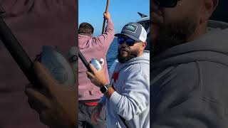 Gaffing a bluefin tuna fishing fishingvideo sportfishing fishingtechniques [upl. by Wallach314]