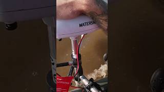 Watersnake Kayak Trolling Motor Test fishing giant outdoors [upl. by Laoj]