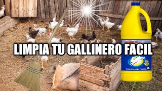 COMO LIMPIAR Y DESINFECTAR TU GALLINERO PARA QUE TUS GALLINAS ESTÉN LIMPIASEl corralico de Dani [upl. by Hotchkiss]