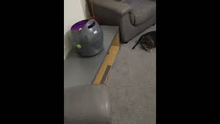 Petsafe BALL LAUNCHER [upl. by Aramaj103]