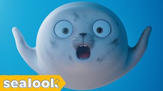 Baby Seal in Wonderland🎡 031  SEALOOK  EP107 [upl. by Monty431]