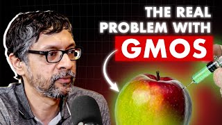 Are GMOs Good or Bad Genetically Modified Organism Explained by Krish Ashok Masala Lab [upl. by Kciredes965]