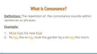 Alliteration Consonance and Assonance [upl. by Ardnuasac71]