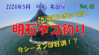 Vol41 2桁安打は当たり前【明石タコ釣り】今シーズンは好調！？ [upl. by Anahsahs]