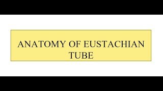 EUSTACHIAN TUBE DYSFUNCTION  TELINGA KREK KREK  DrTYohanita SpTHT [upl. by Jillane]