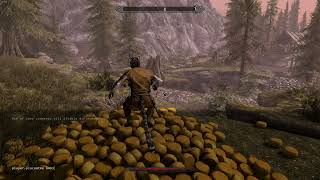 Spawning Cheese in Skyrim Everyday Until The Elder Scrolls 6 Releases  Day 371 [upl. by Sacram340]