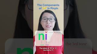 The Components of quotnǐquot in Pinyin [upl. by Enida656]