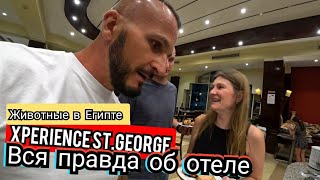 Какие недостатки Xperience StGeorge Ужин и анимация старый рынок Шарм Эль Шейх Египет [upl. by Baird]