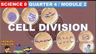 Cell Division  Mitosis and Meiosis Grade 8 Science Quarter 4 Module 2 [upl. by Happ878]