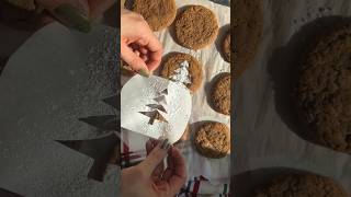 Soft amp Chewy Gingerbread Snickerdoodles  Easy Christmas Cookie Recipe [upl. by Sarge52]