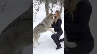 GIRL HOWLS WITH GIANT WOLVES [upl. by Nospmis749]