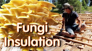 fungi insulation  build and grow [upl. by Oribella625]