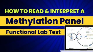 Methylation Panel Lab Explained [upl. by Shelagh]