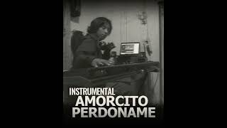 Amorcito Perdoname Instrumental [upl. by Yendahc]