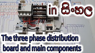 The three phase distribution board and main components in Sinhala [upl. by Fine188]