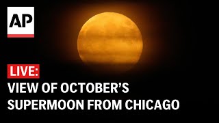 LIVE View of October’s supermoon from Chicago [upl. by Ovid]