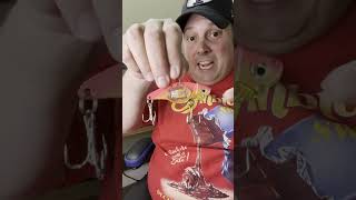 Flashing LED Lure bassfishing fishing fishingvideo [upl. by Ahsital]