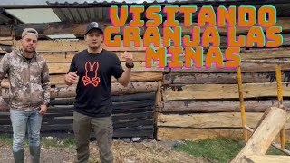 ENGORDANDO 150 CERDOSđź· VISITA granja LAS MINAS đź–đź–PARTE 1 [upl. by Ybhsa]