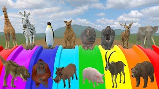 THE EASIEST Way To Play Slide With All The Animals Zoochosis Mutants  in Garrys Mod [upl. by Nadbus]