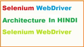 Selenium Webdriver Architecture in Hindi [upl. by Anelis102]