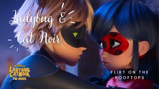 Ladybug And Cat Noir flirting 😍😘 Miraculous Ladybug amp Cat Noir The Movie [upl. by Izabel]