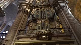 Venite Adoremus Adeste Fideles Órgano Catedral de Málaga [upl. by Lleinnad]