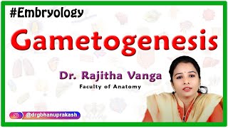 Gametogenesis  Introduction to Embryology [upl. by Assilac840]