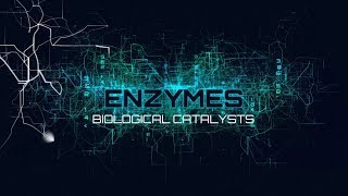 GCSE Chemistry 19 Enzymes Biological Catalysts [upl. by Koy]