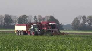 Suikerbieten rooien 2013 met breure Vervaet beet eater 925  2x Fendt met veenhuis 3 asser [upl. by Nueoht]