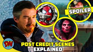 SpiderMan No Way Home Post Credit Scenes amp Ending  Explained in Hindi [upl. by Aulea]