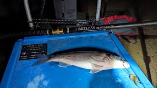 Local beach bass coalfish and flounder session  Anglesey beach fishing [upl. by Nador]