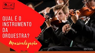 Qual é o instrumento da orquestra  Atividade de musicalização para aula remota Percepção Musical [upl. by Akela900]