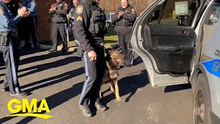 Retiring police dog gets standing ovation as he leaves department for last time [upl. by Delija946]