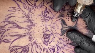 Lion tattoo  Time lapse [upl. by Aehtorod532]