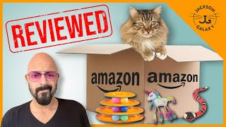 Cat Expert Reviews Bestselling Cat Toys on Amazon [upl. by Deni963]