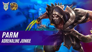 Раям KOGA PALADINS COMPETITIVE MASTER ADRENALINE JUNKIE [upl. by Ykcul]