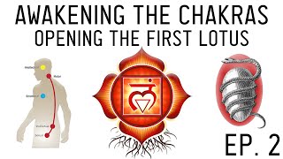 How to Awaken the Chakras Activate the Muladhara Root Chakra Ep 2 [upl. by Kurland771]