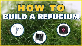 How to Set Up a Refugium Harvesting Macroalgae To Control Nitrate and Phosphate [upl. by Finah]