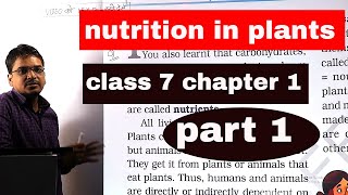 nutrition in plants for class 7  class 7 science chapter 1  part 1 [upl. by Ancilin]