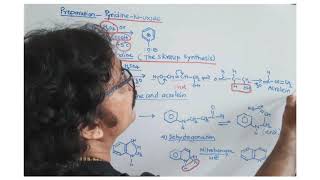 Preparations of PyridineNOxide and Quinoline by Skraup synthesis [upl. by Giliana]