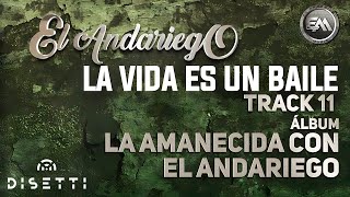 El Andariego  La Vida Es Un Baile  Música Popular [upl. by Waugh]