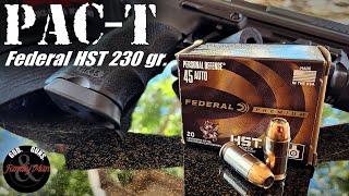 The Near Perfect Self Defense Bullet Federal HST [upl. by Hemphill]