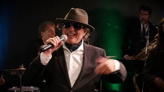 Wild Night Van Morrison Tribute Show Long Sizzle 12min [upl. by Harak]