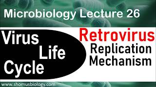 Retrovirus replication  virus life cycle [upl. by Ralfston]