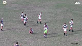 2024 Rugby  Hilton College u15A vs Westville Boys High School u15A [upl. by Ahsekyw]