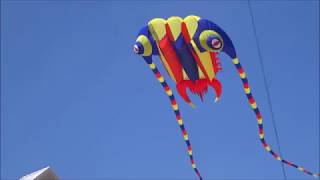 2019 Ocean City Maryland September Sunfest Kite Festival [upl. by Issi191]