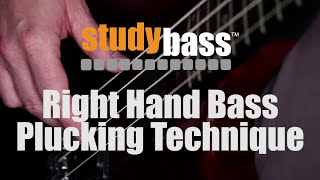 Plucking Right Hand Bass Technique  StudyBass [upl. by Sella]